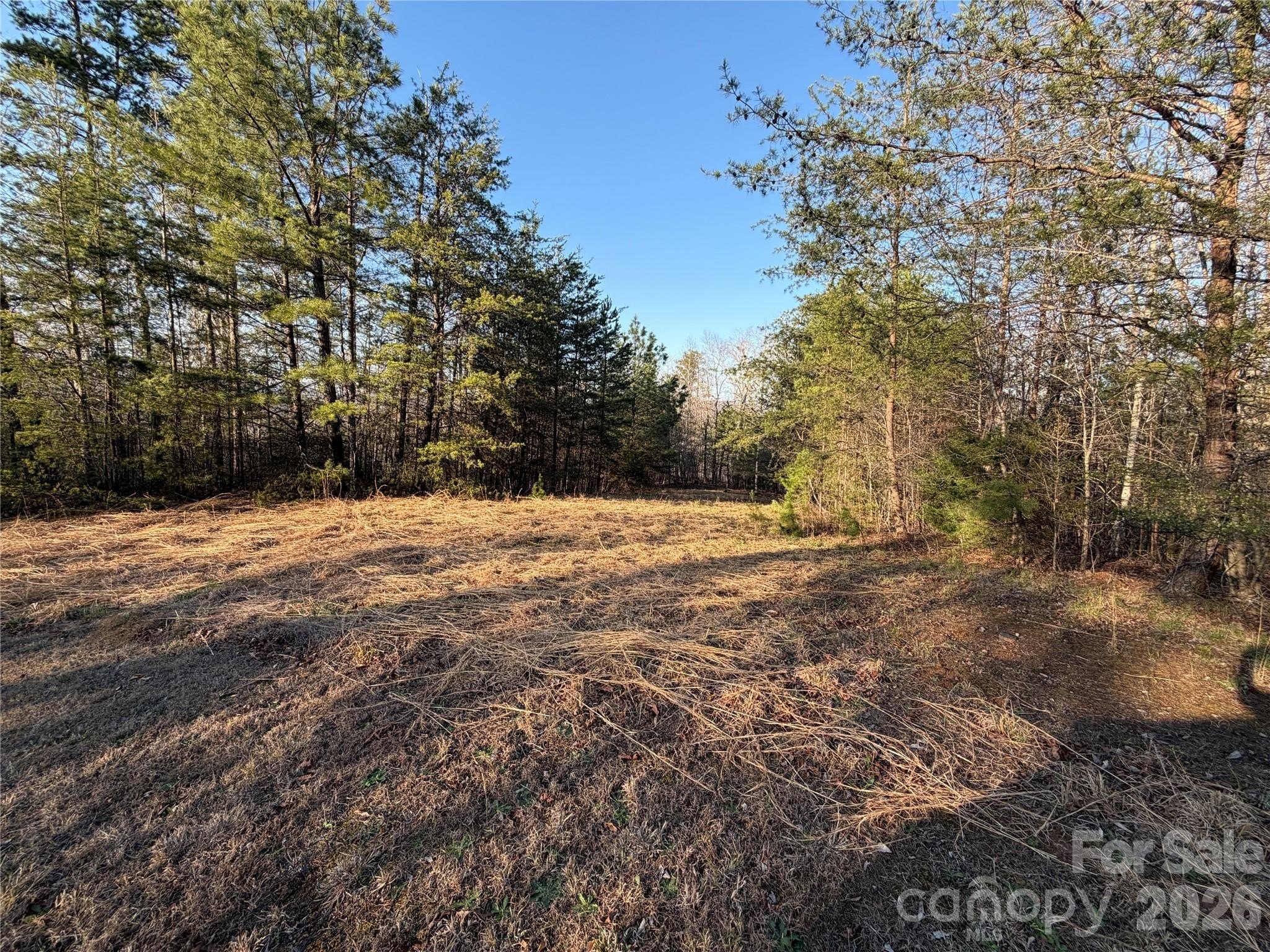 Rutherfordton Land with Tranquil Stream