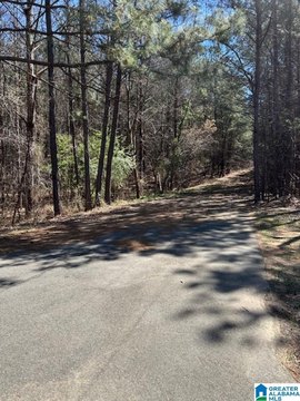 LAND - MCCALLA, AL