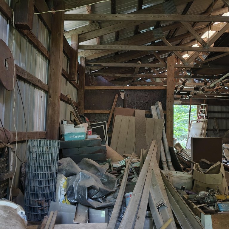 Picture 12