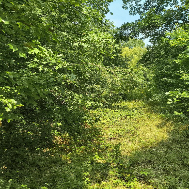 Picture 5