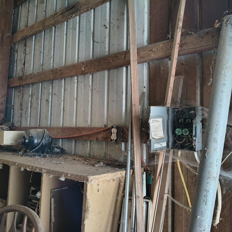 Picture 10