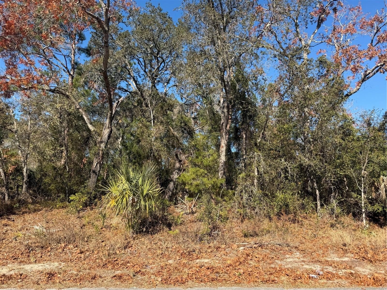 Residential Lot in Spring Hill