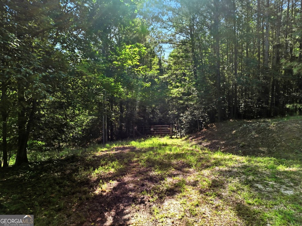 Picture 3