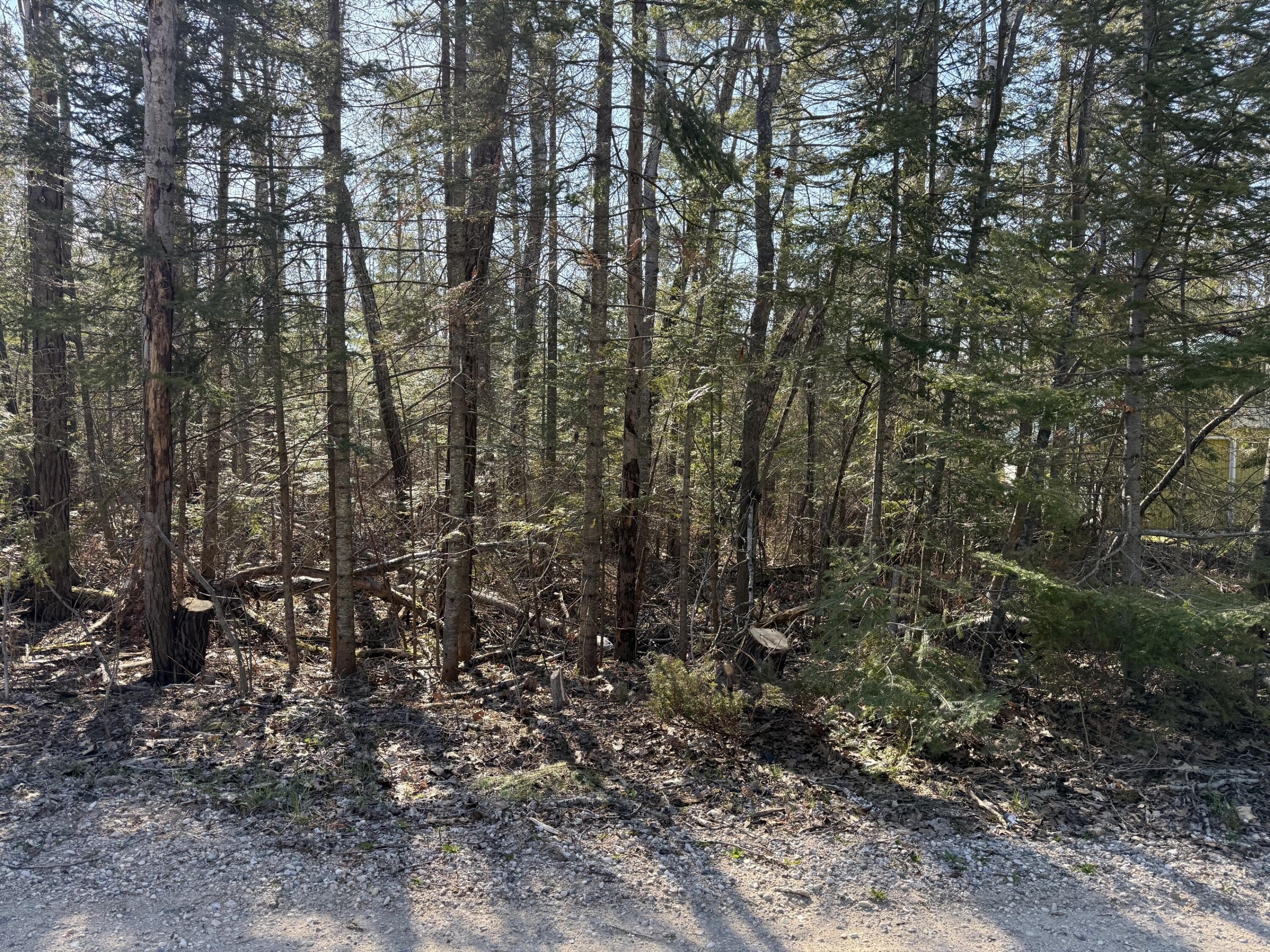 Vacant Lot Near Lake Huron