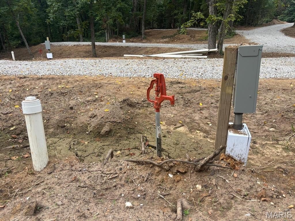 Picture 6