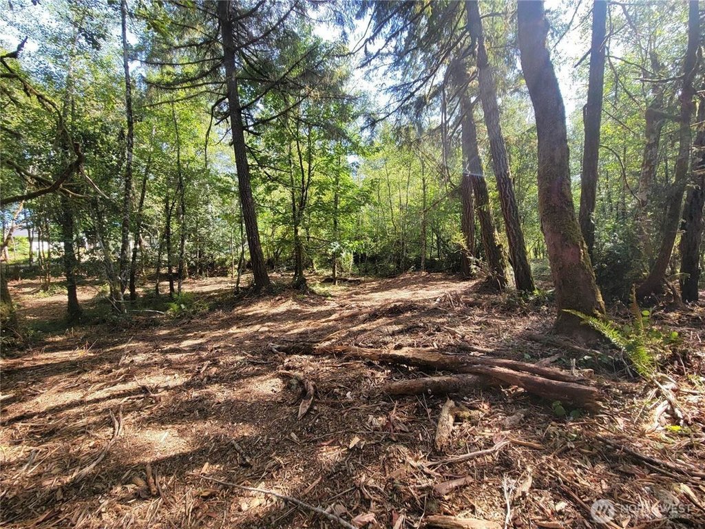 Picture 19