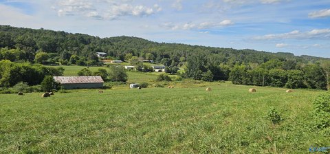 Bryant, AL Farm Land