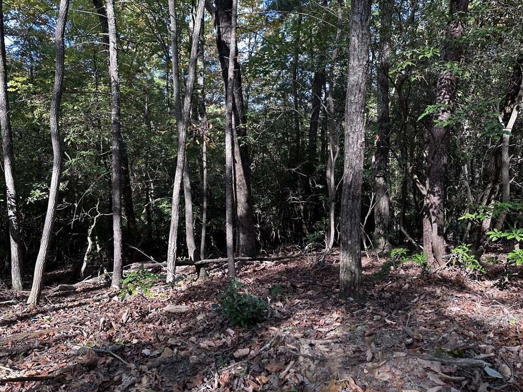 Picture 17