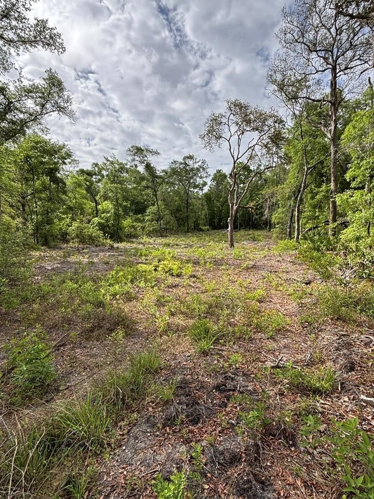Residential Land in Old Town