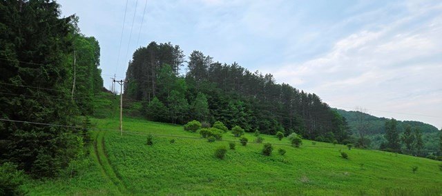 Picture 4