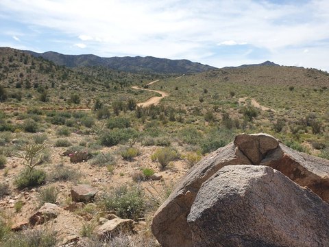 Land, Hackberry, AZ