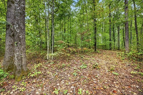 Land, Celina, TN