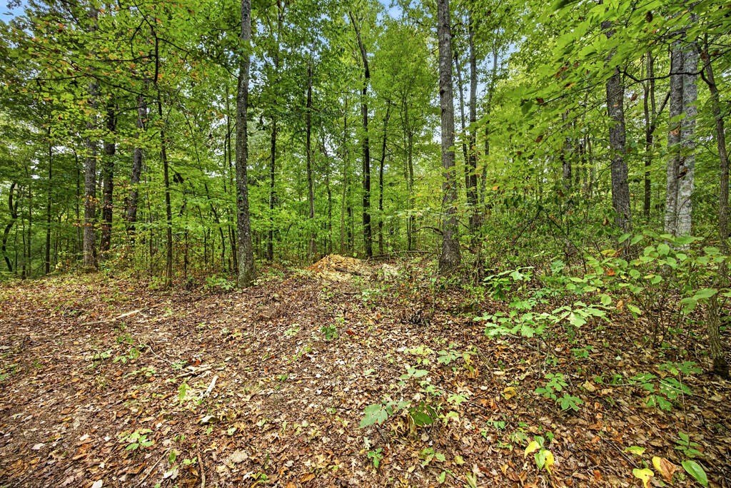 Picture 3