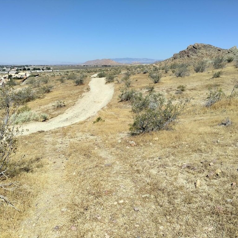Picture 6