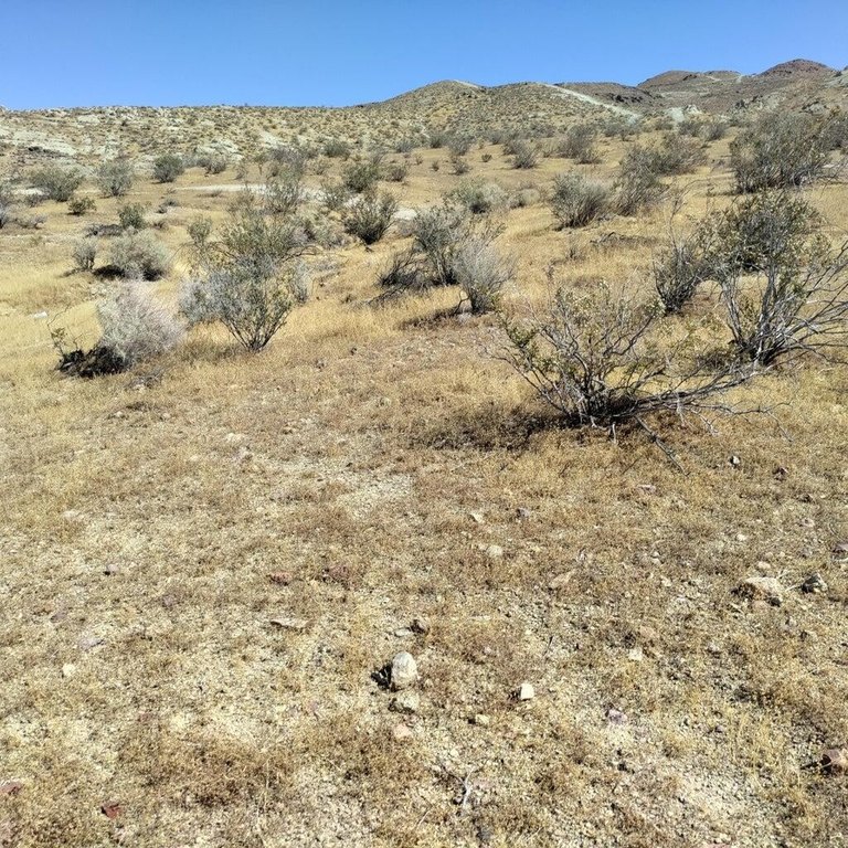 Picture 7
