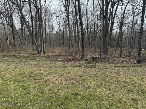 Residential Land in Crossville, TN