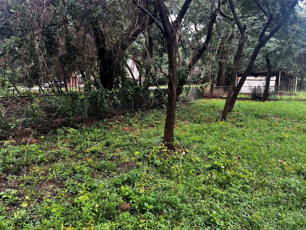 Picture 10