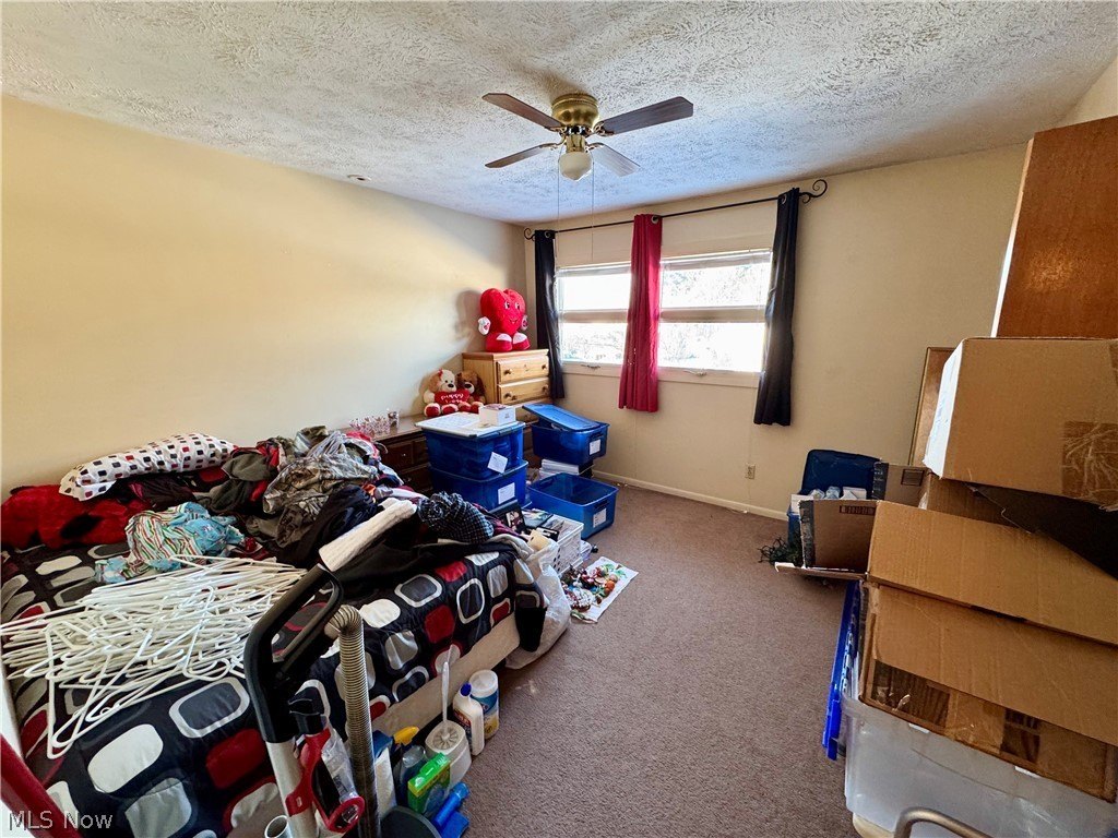 Picture 28