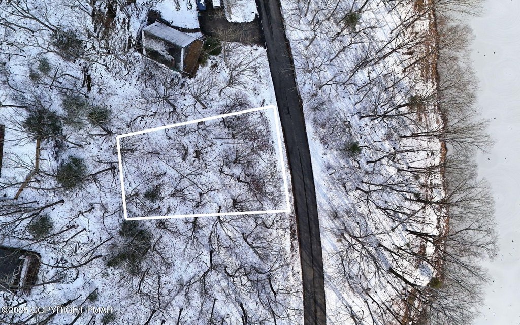 Picture 10