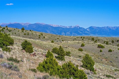 Adjoining Acreage with Build Sites