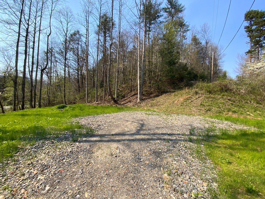 Picture 5