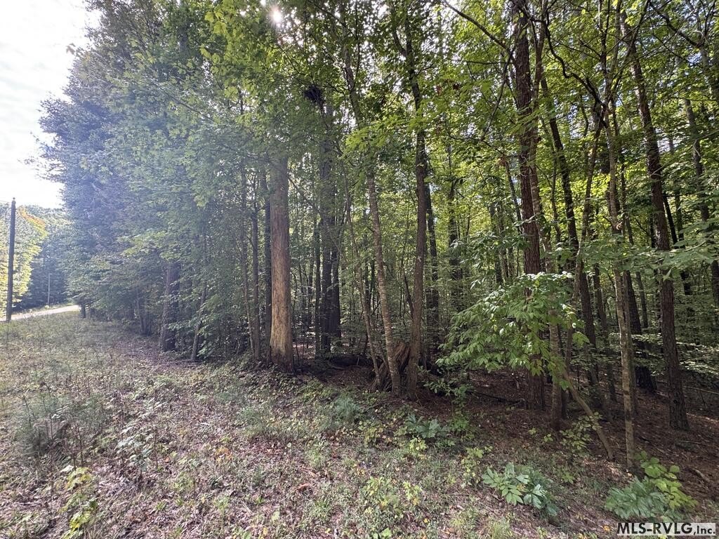 Picture 21