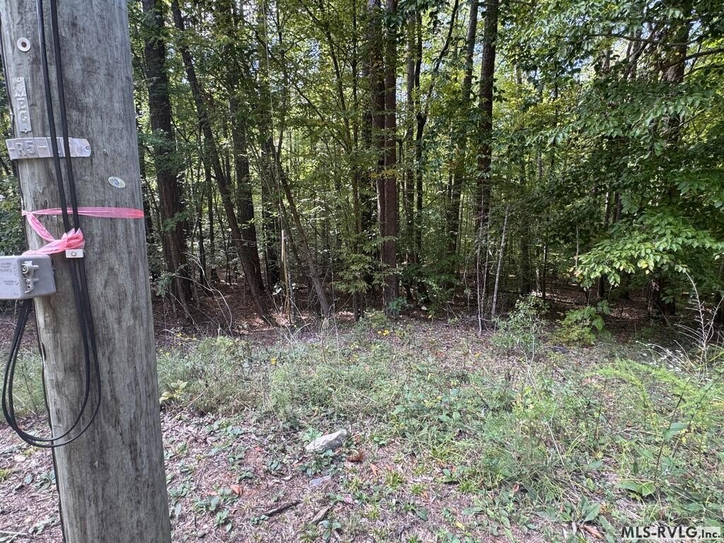 Picture 33