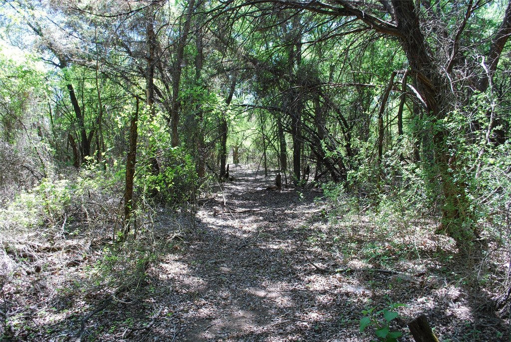 Picture 10