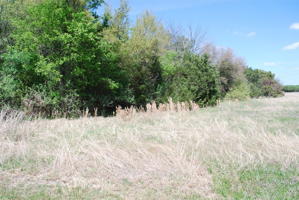 Picture 12