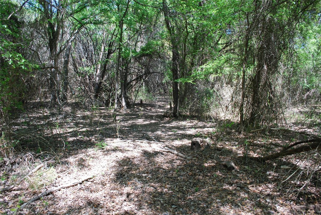 Picture 4