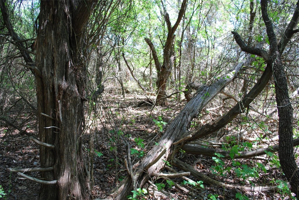 Picture 6