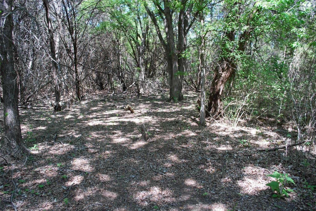 Picture 7