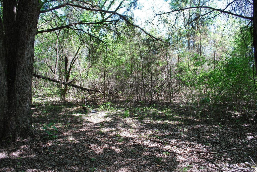 Picture 9