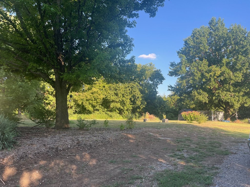 Picture 19