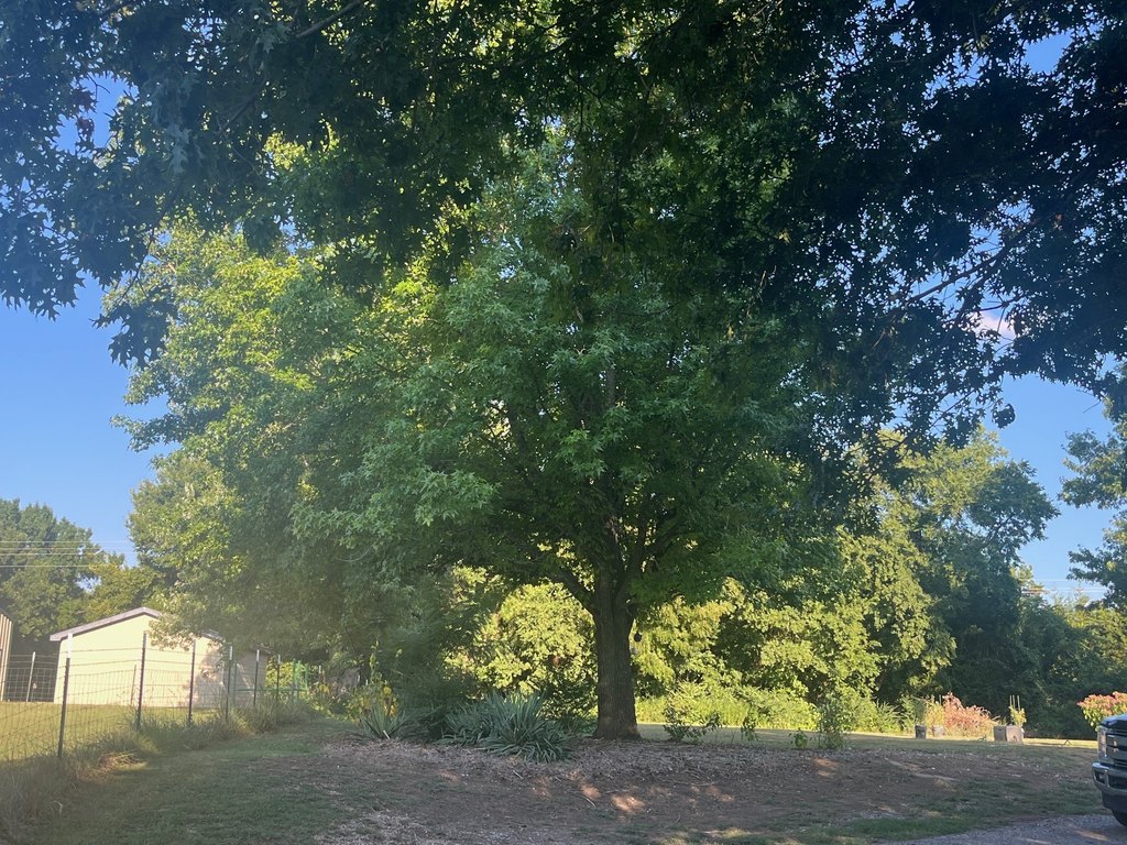 Picture 20