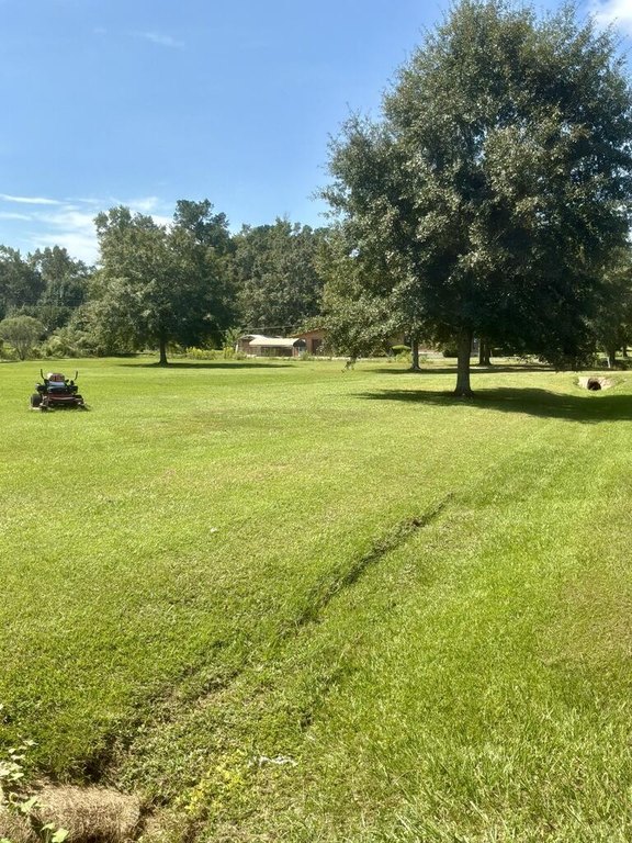 Picture 20