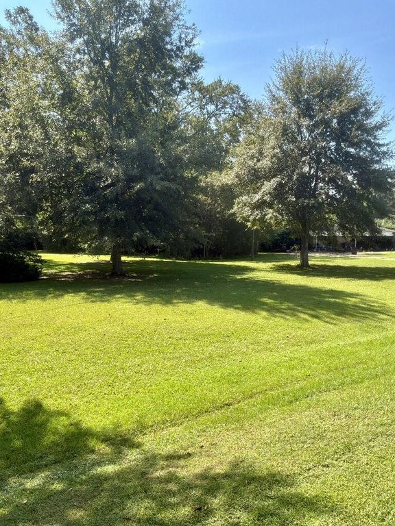 Picture 23