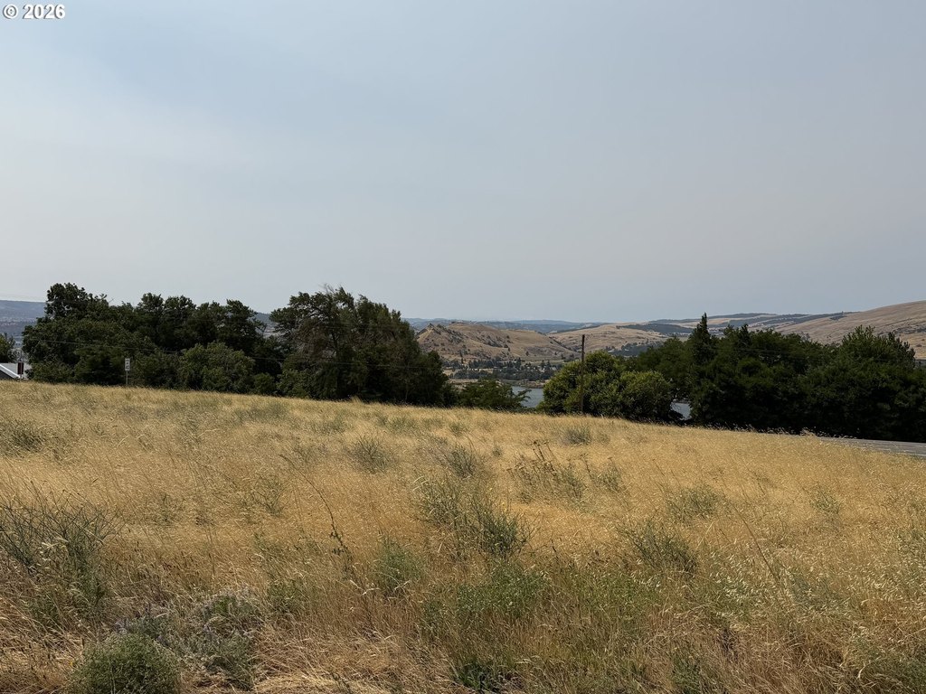 Picture 23