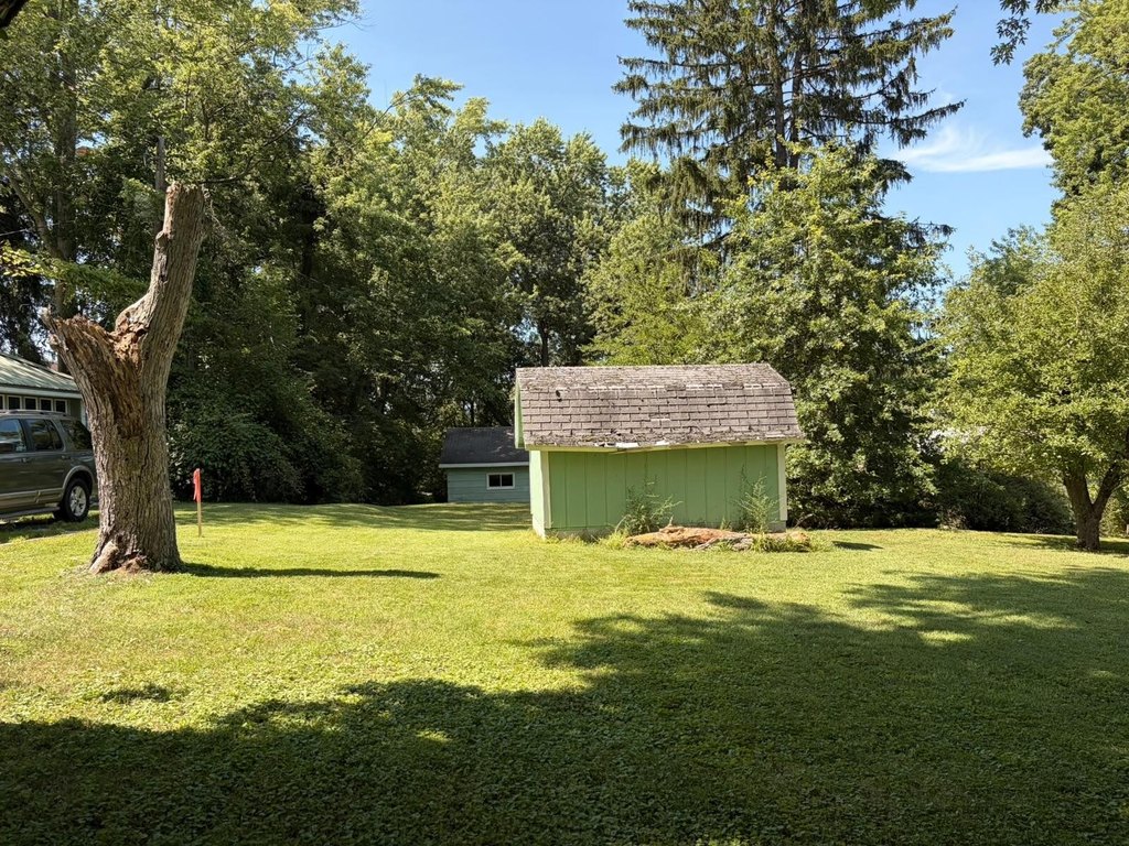 Picture 6