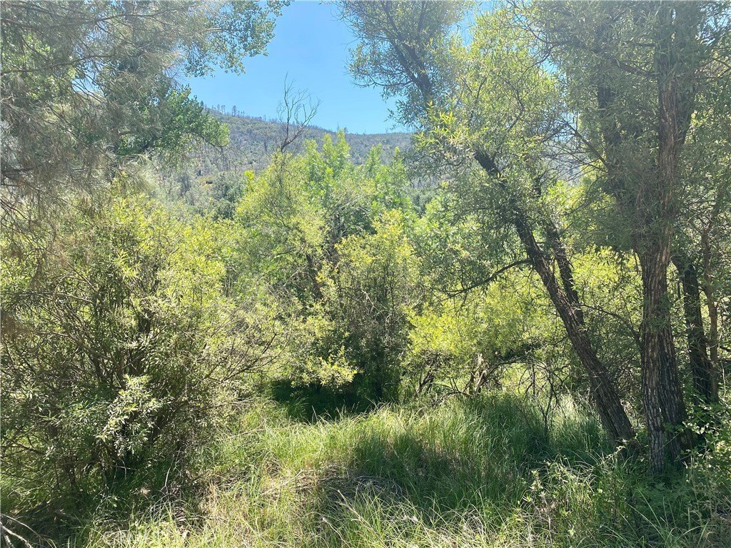 Picture 22