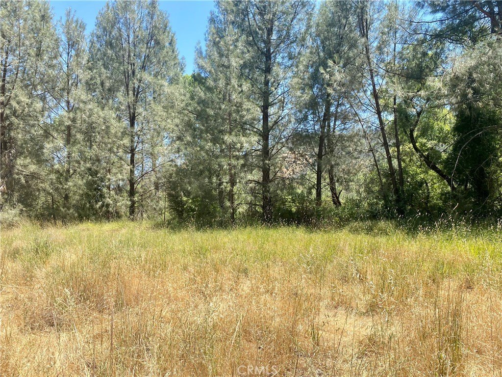 Picture 23