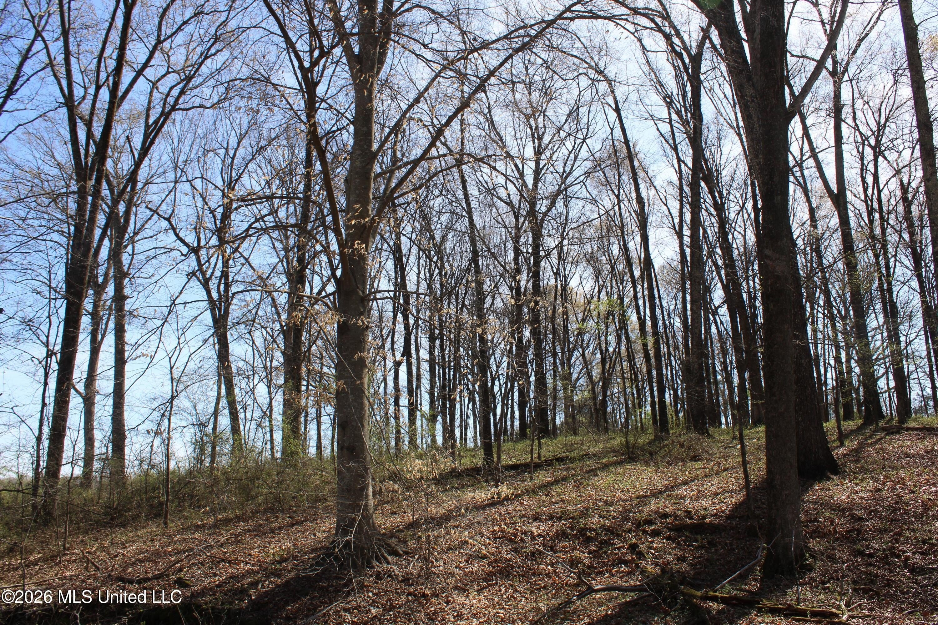 Residential Lot in Olive Branch