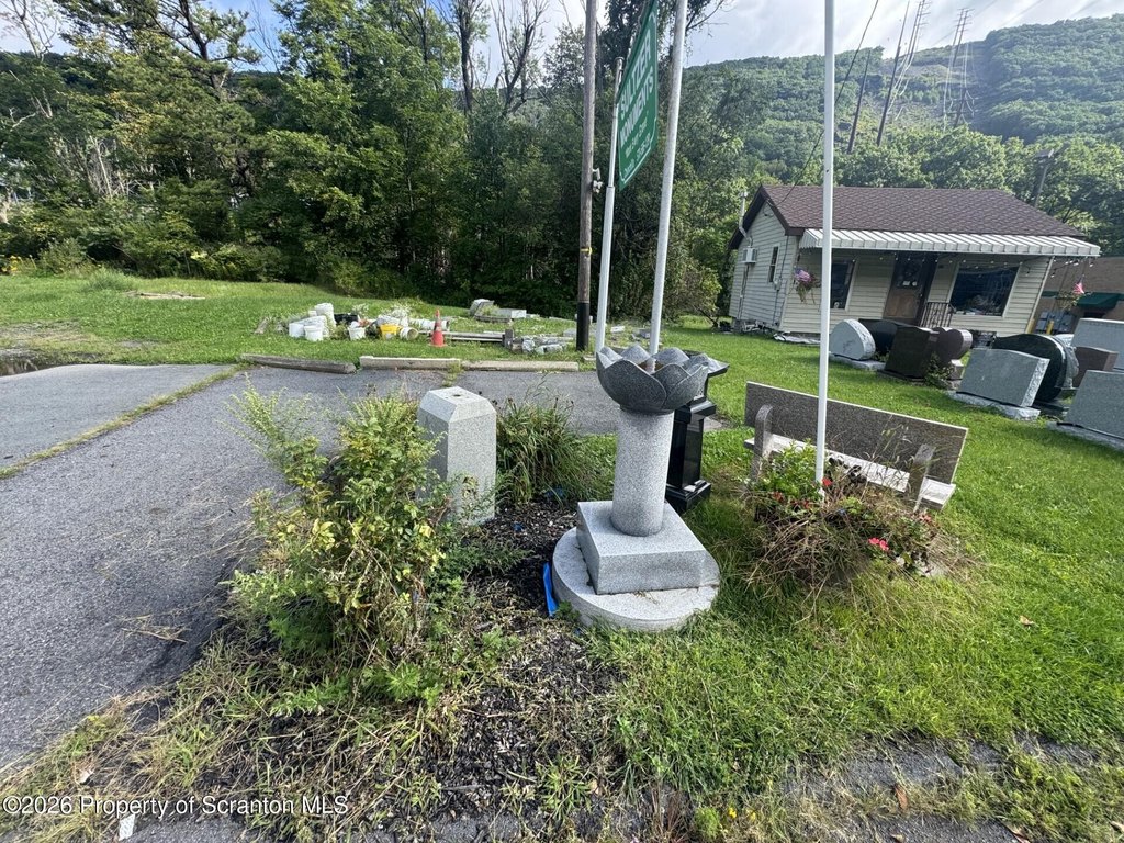Picture 5