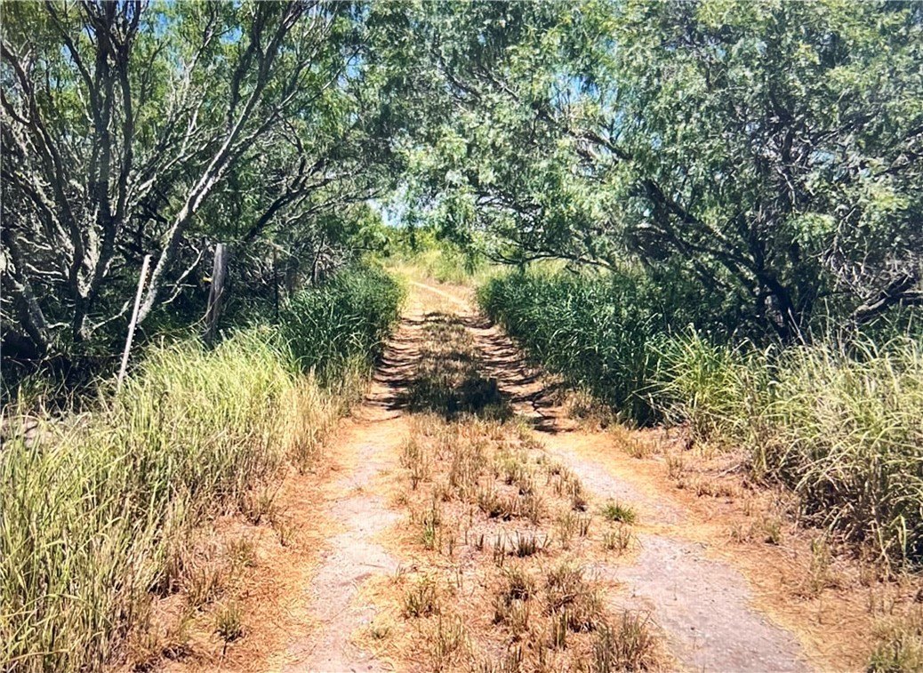 Nueces County 9-Acre Land Opportunity