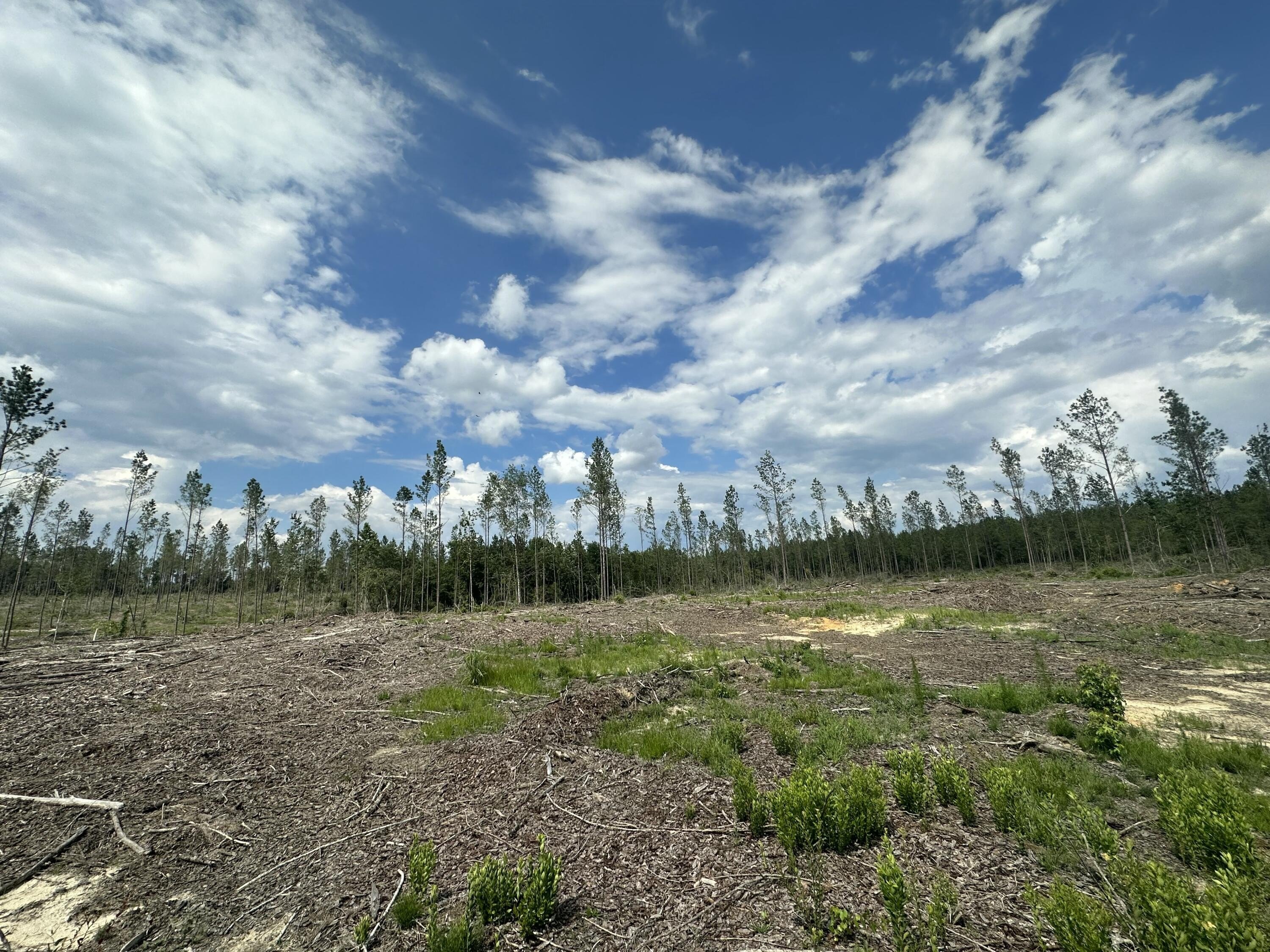 Baker, FL Land Opportunity