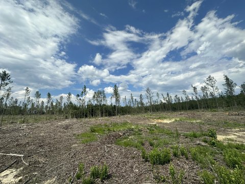 Baker, FL Land Opportunity