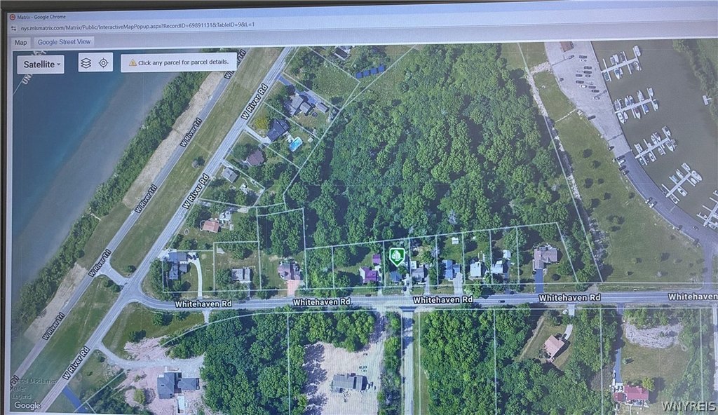 Picture 3