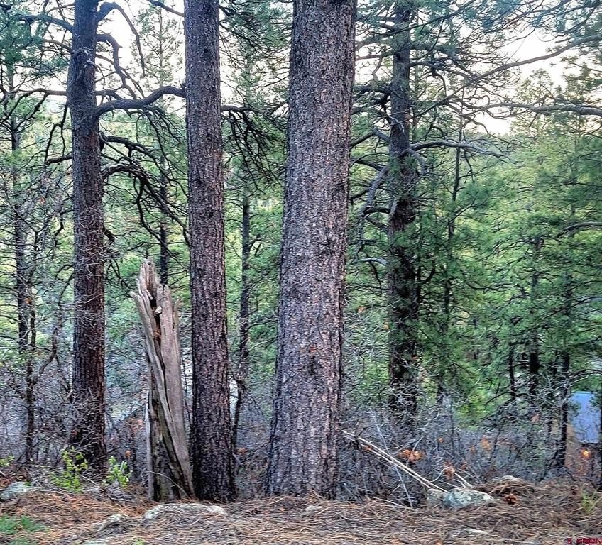 Picture 8