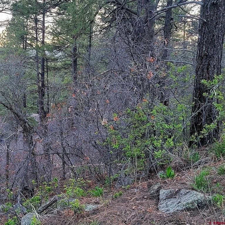 Picture 11
