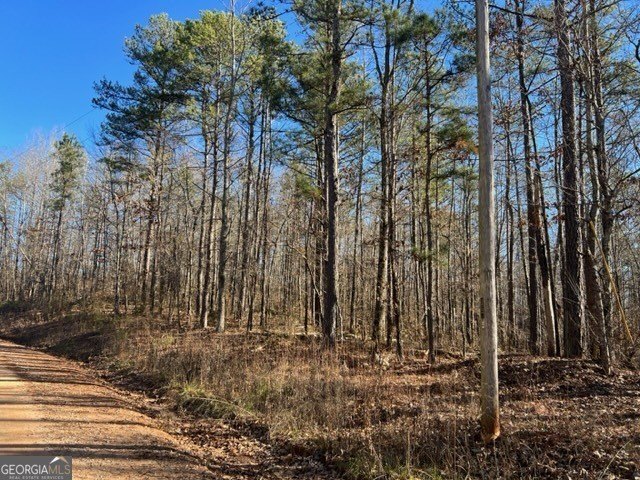 Unrestricted Wooded Land For Sale
